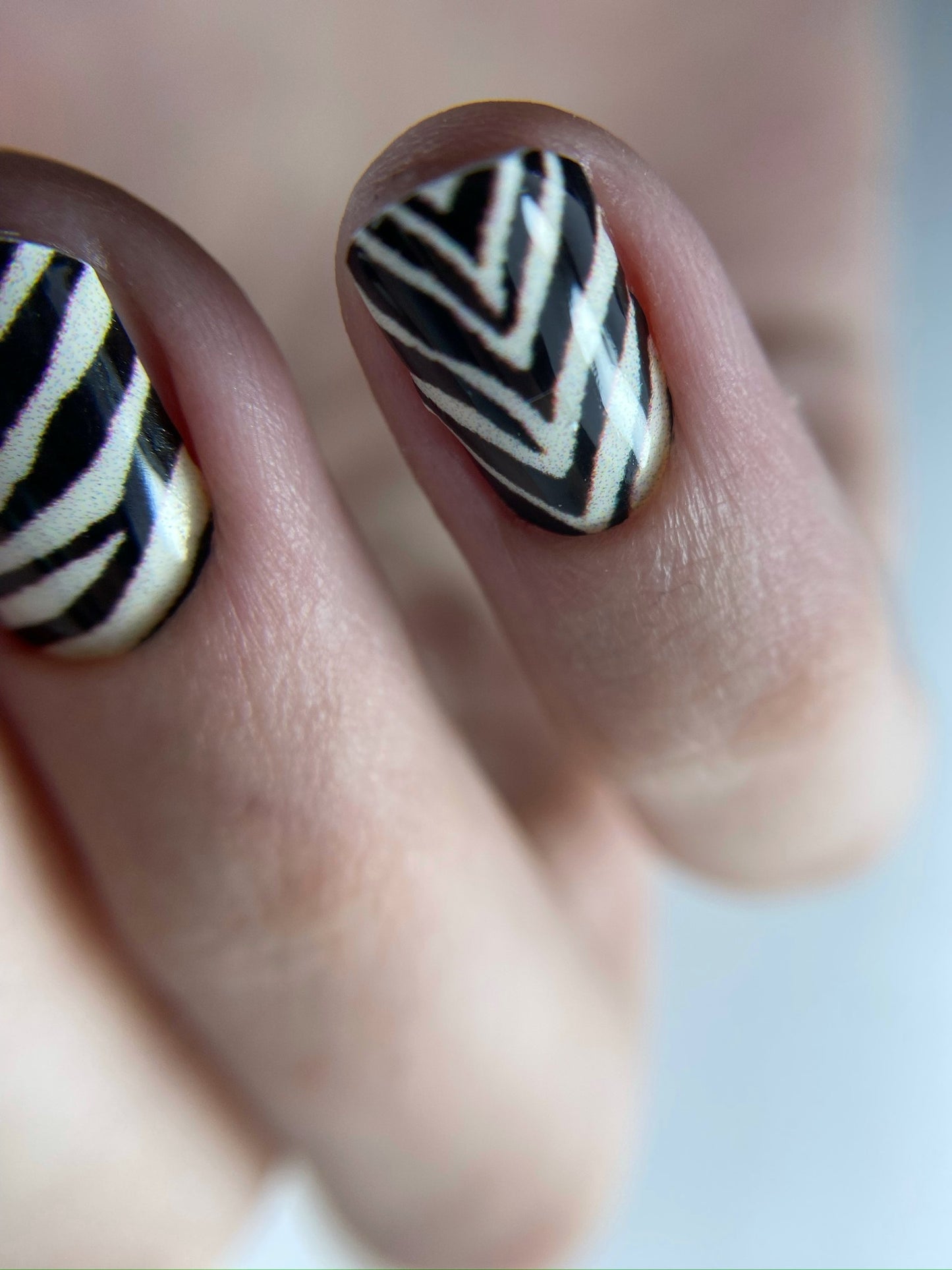 Плівки манікюр "Zebra"