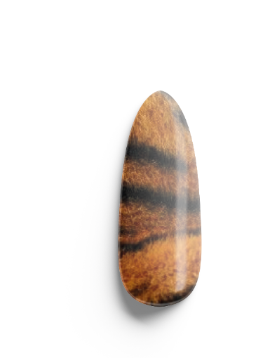 Nail wrap "Wild"